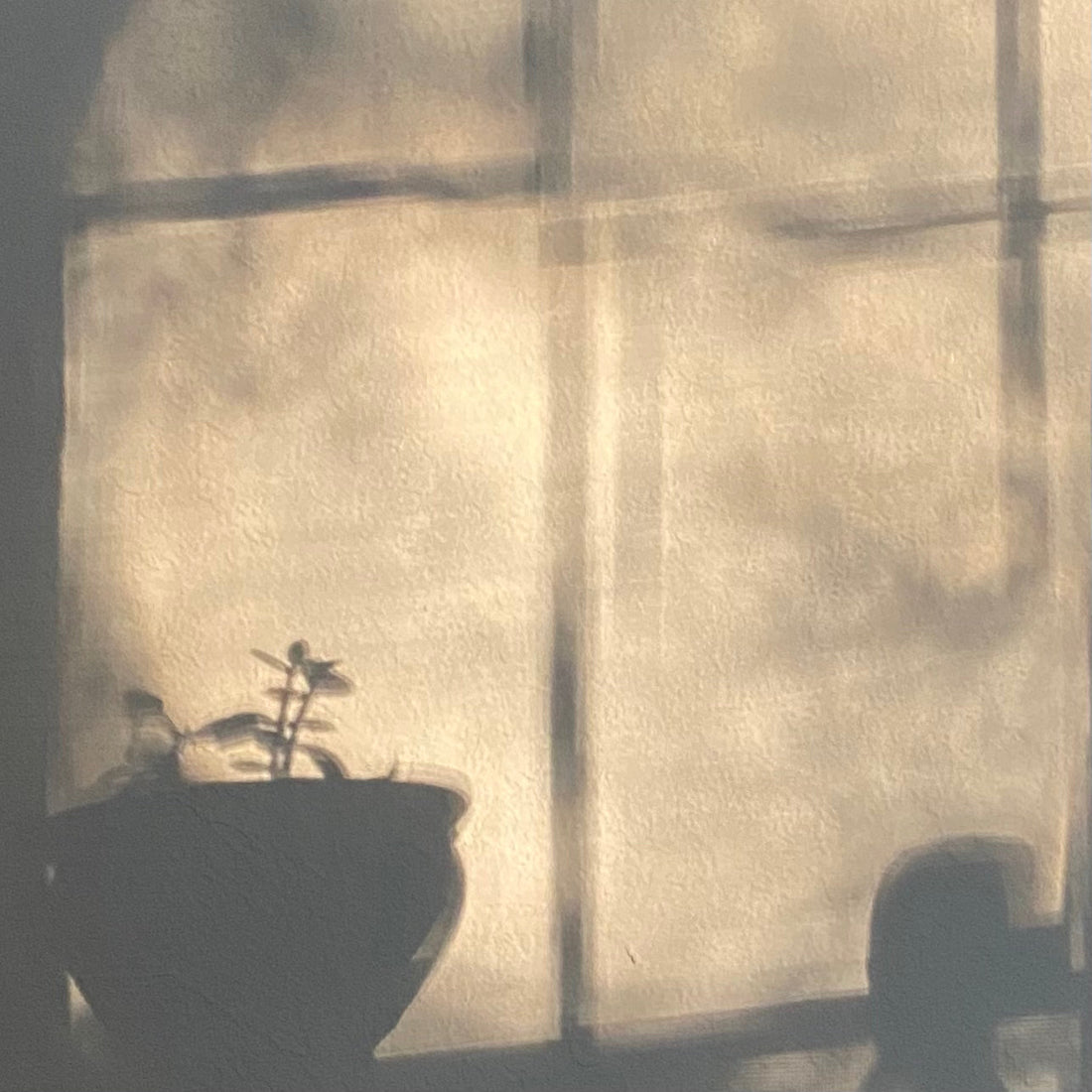 Sundance wall shadows in my Sondera 1974 Leather Studio