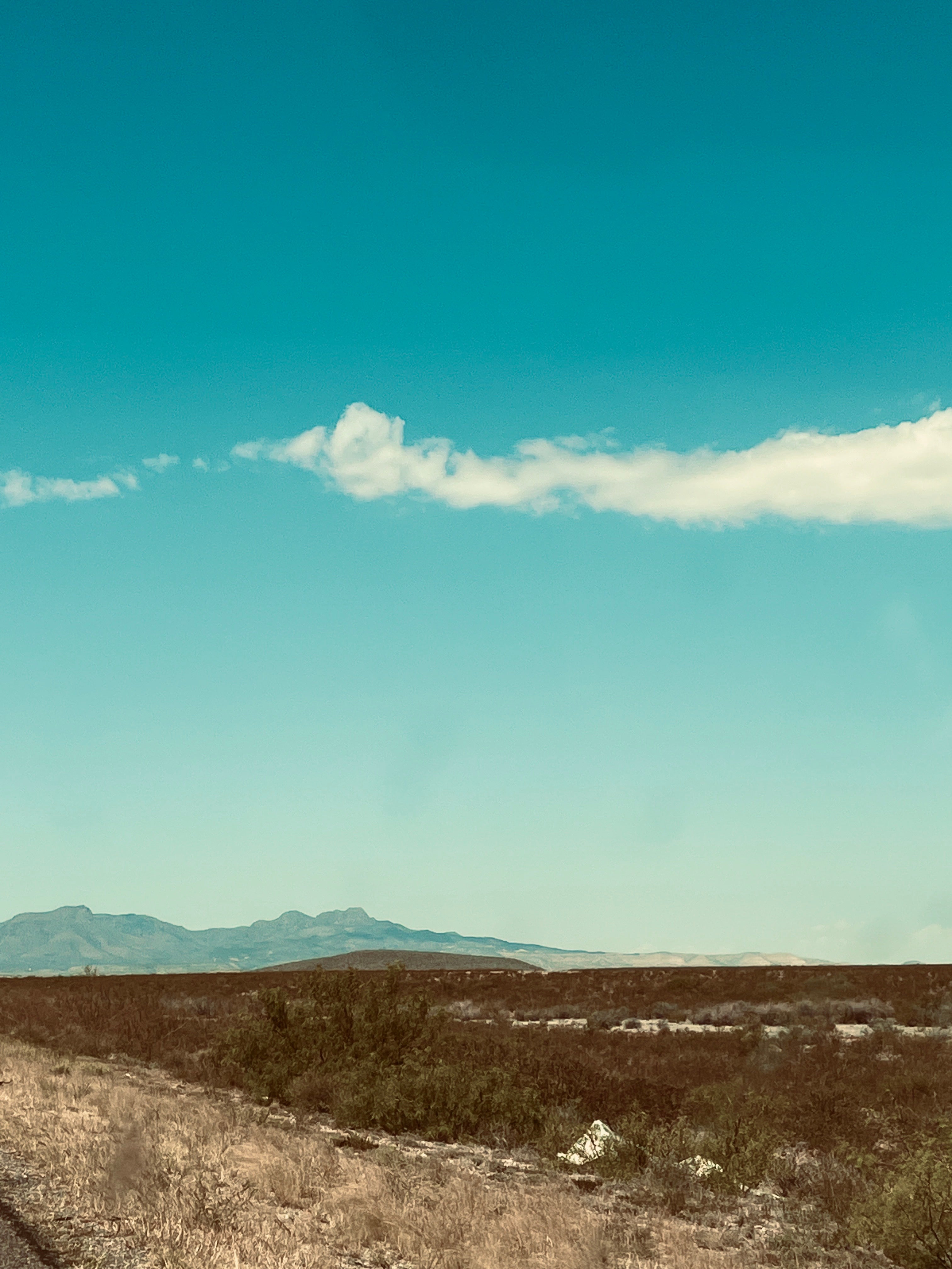 Desert landscape with mountains in the distance under a clear blue sky.